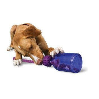 Illustration for article titled The 6 Best Toys to Keep Your Dog Really Busy